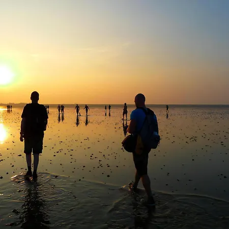 Strandparel 39